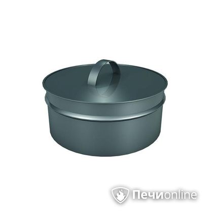 Заглушки Теплов и Сухов Заглушка ревизии Термо-Р 304 0.5 D250(150) в Ижевске